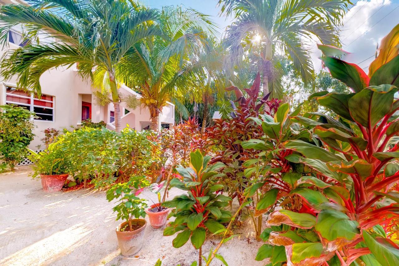 Casa Tranquilidad Leilighet San Pedro  Eksteriør bilde